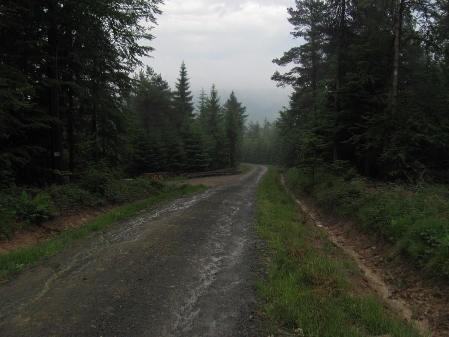 podeszczowy Beskid Niski