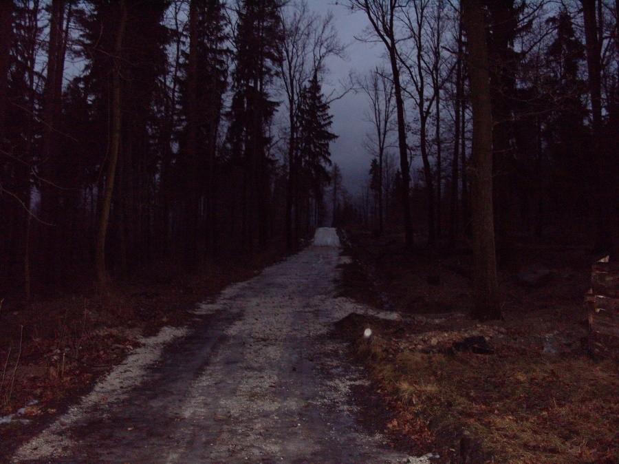 Po małym rozmyślaniu udałem się lasem z Polanicy na Starkówek, myślałem że będzie więcej śniegu i trochę poszaleję ale więcej to było ciapy, po wyjechaniu na asfalt wyglądałem jak .... nie napiszę.
