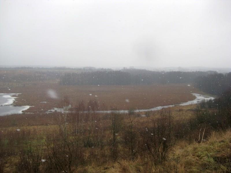 Dolina Cybiny w Górze