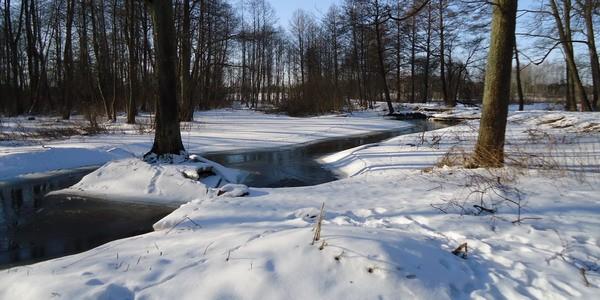 Las Grabarka. W oddali mostek nad rzeką Rudka