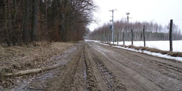 Błotniscie. Las Rudka przy leśniczówce Janówka