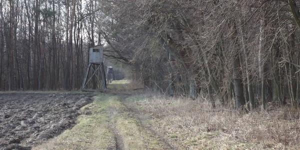 Rezerwat Przyrody "Czapli stóg". Od dawna nie używane budki ornitologów