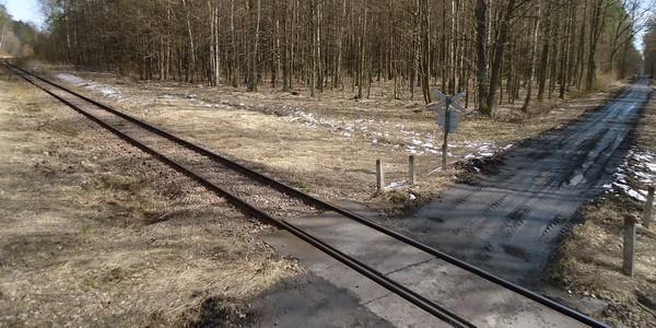 Widok z wieży strażniczej