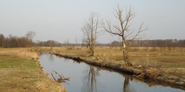 Widok z mostu w Styrzyńcu na dolinę rzeki Krzna