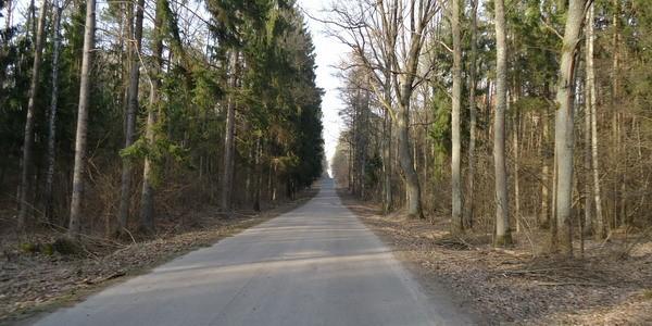 Trakt Gnojeński