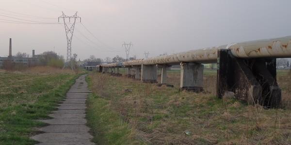 Biała Podlaska. Rurociąg ciepłowniczy nad łąkami przy Krznie