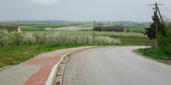 Wyżyna Sandomierska
