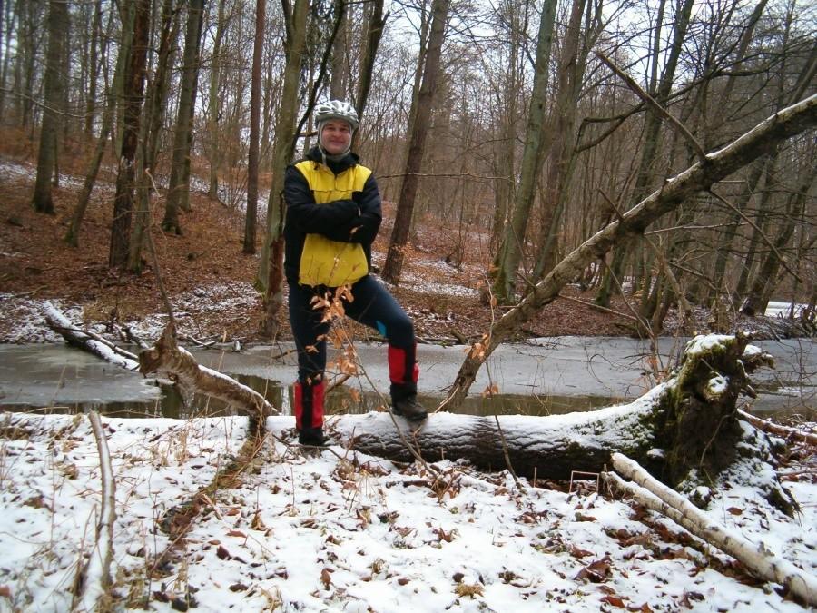 Niedzielna rowerówka. 03-02-2013. Na łonie przyrody. Lasy przy drodze Goszyn-Swarożyn.