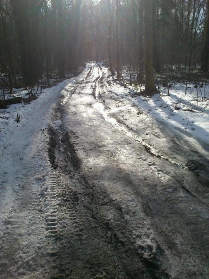Las Ruda zimą
