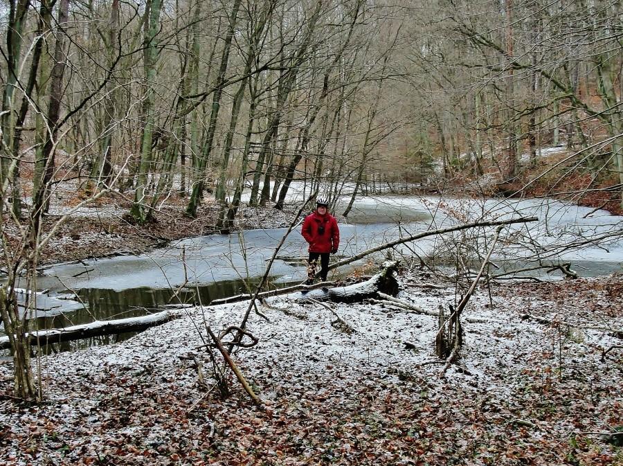 Nad strugą w lesie.