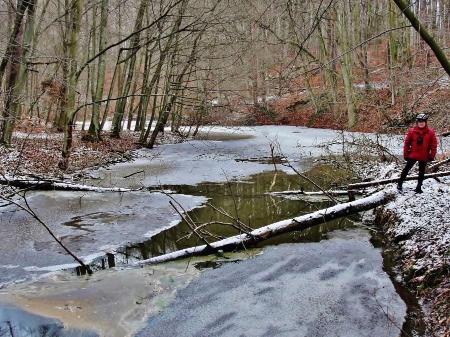 Nad strugą w lesie.