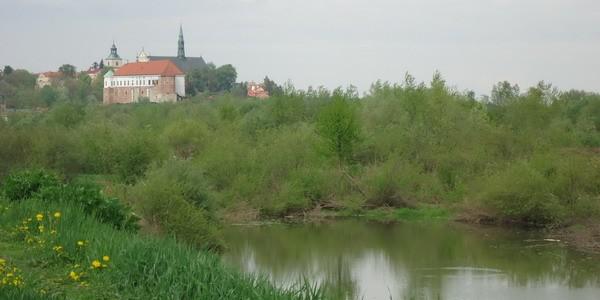 Widok na Sandomierz od strony wsi Zawisełcze