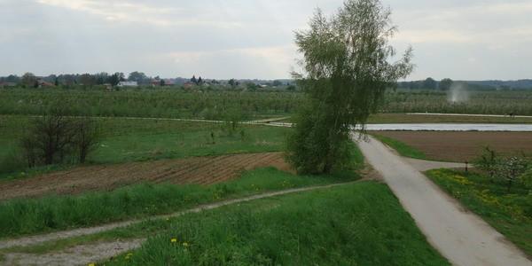 Wszechobecne sady owocowe i kręta asfaltowa droga pomiędzy nimi