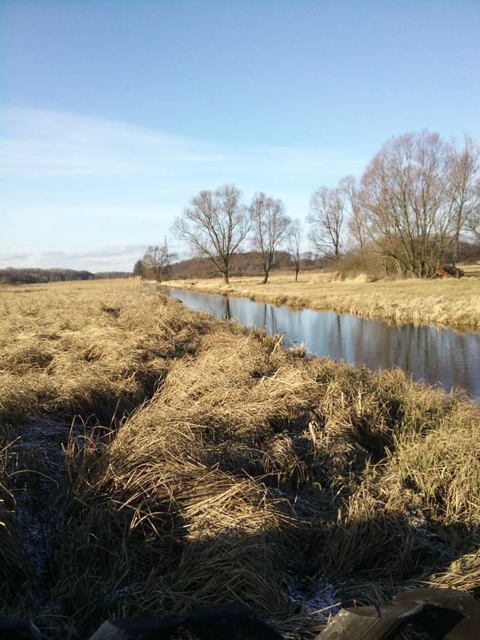Widoczek na bagna (Kręplewo)