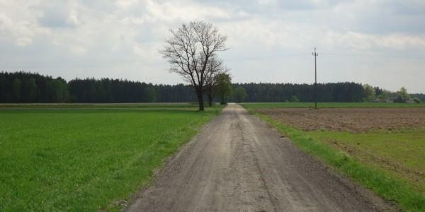 Polna droga we wsi Michałówka