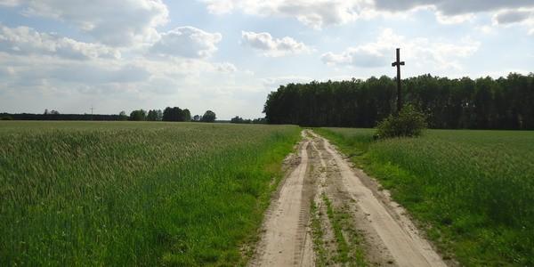 Krzyż we wsi Wola Dubowska