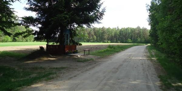 Kapliczka we wsi Kolonia Lisy