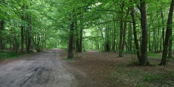 Las Rudka. Zwierzyniec
