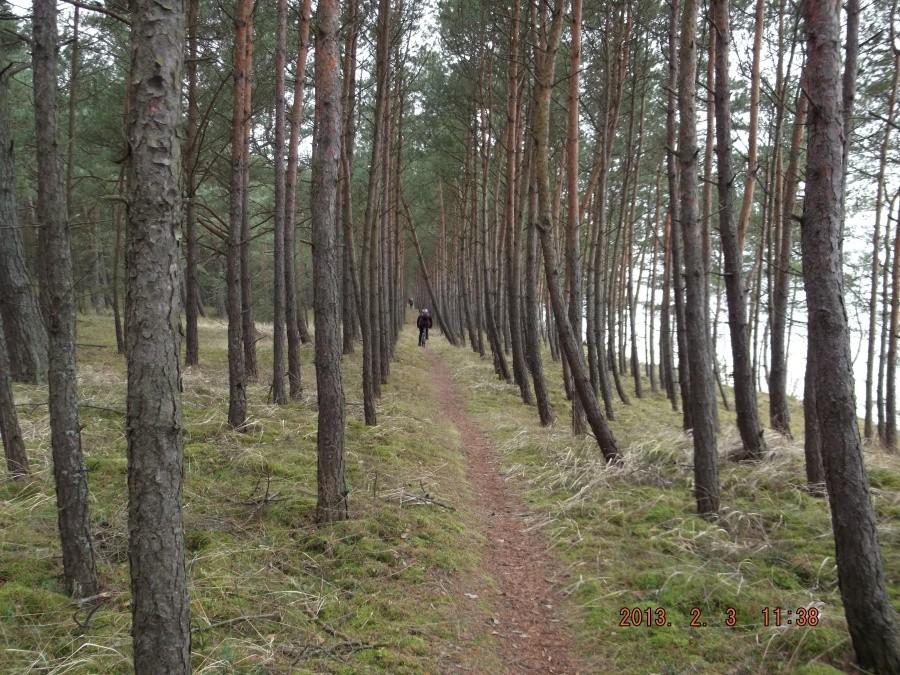 Nasz szlak