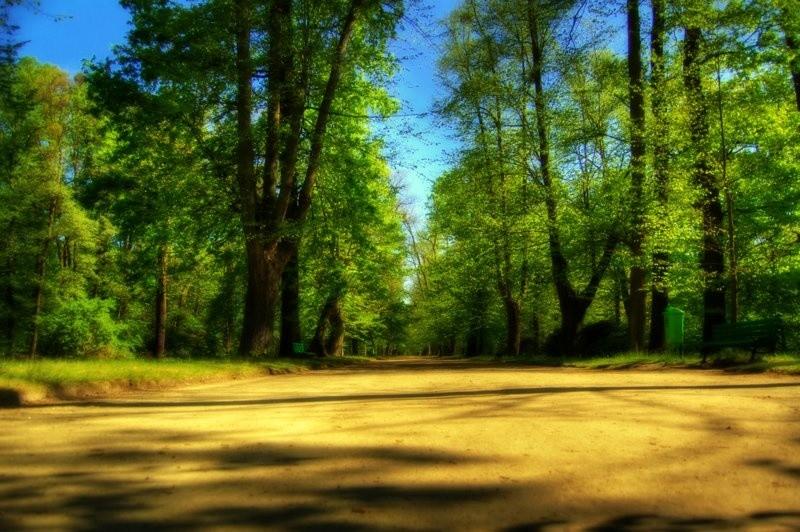 Czekając na wiosnę...
