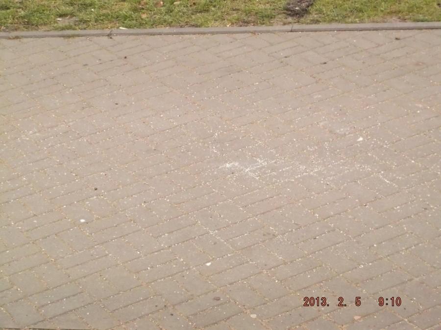 Świeża sól na chodniku
