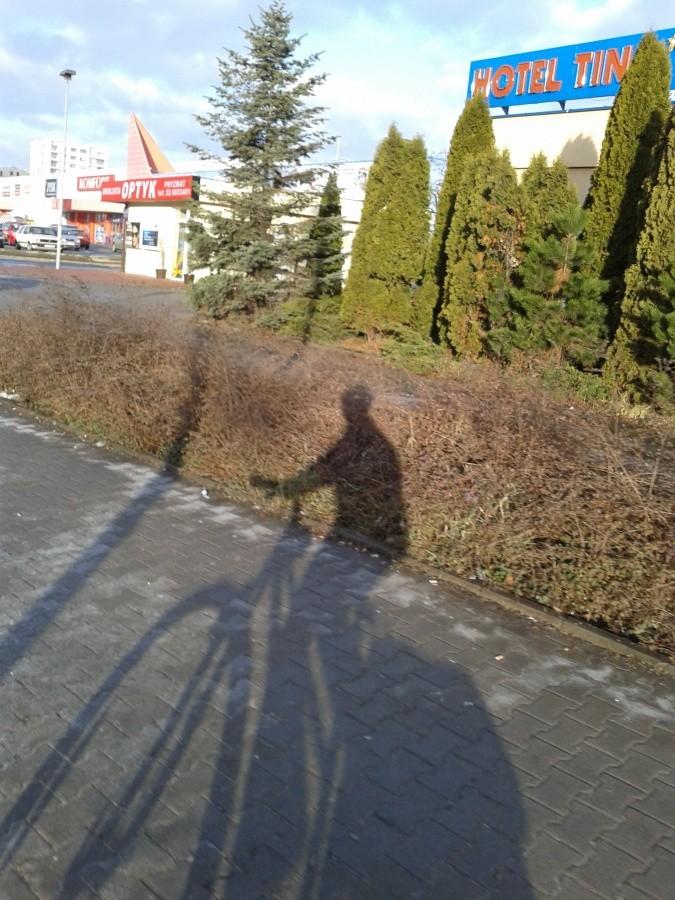 Słoneczny poranek