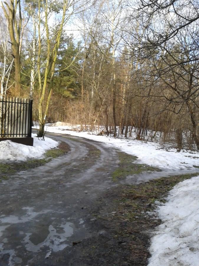 Las zaprasza miłośników zimy