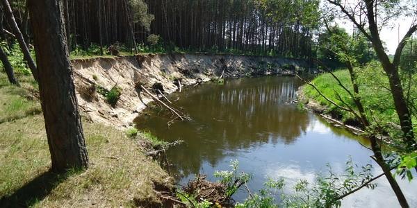Skarpy nad rzeką Krzna w okolicy Malowej Góry