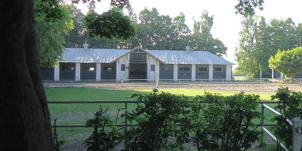 Stajnia Stadniny Koni w Janowie Podlaskim