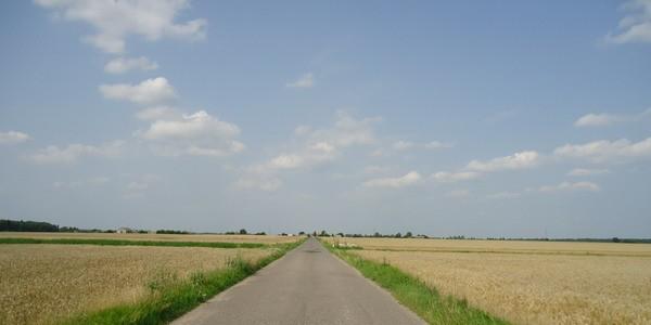 Dookoła zboże