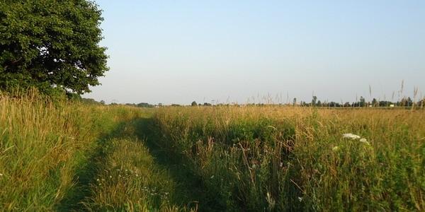 Łąki nad rzeką Klukówka w Białej Podlaskiej
