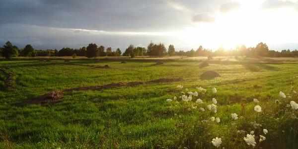 Łąki nad rzeką Rudka