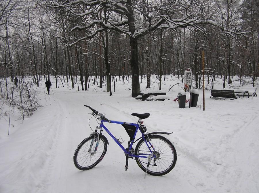 Giant na skrzyżowaniu "Pod Dębem"