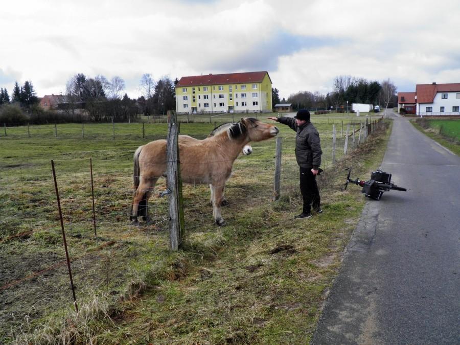 Widok z Blankensee - Kuba dokarmia koniki.