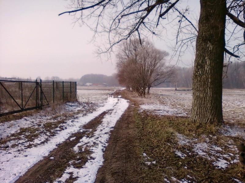 Gdzieś koło Zgierza
