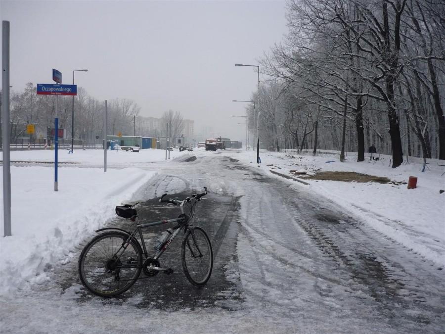 Oczapowskiego/Kasprowicza, Lasek Lindego. Nieprzejezdność trwa.