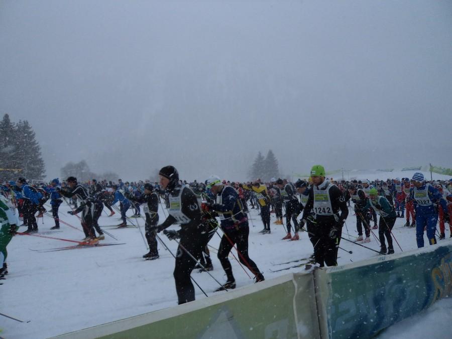 41 Koenig Ludwig Lauf - ruszyli.
