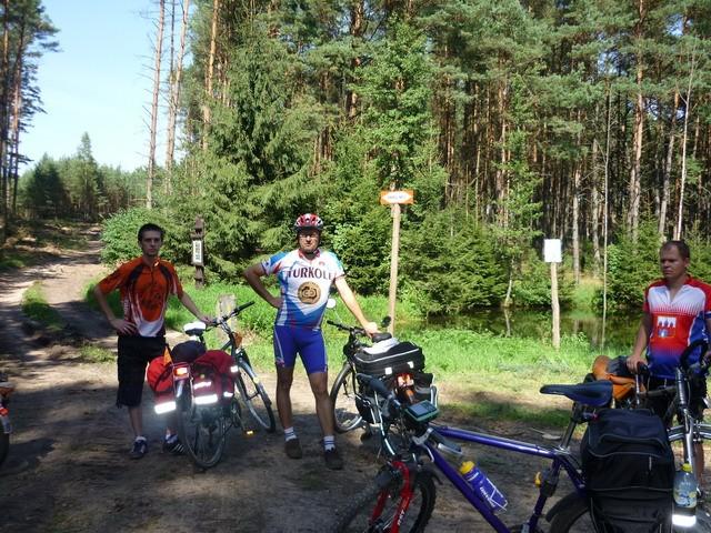 W lesie nad Pankawą - odcinek TTR-N między Skórką a Pleceminem
