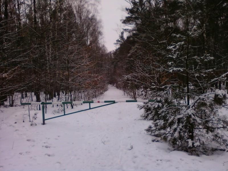 Szlaban w lesie