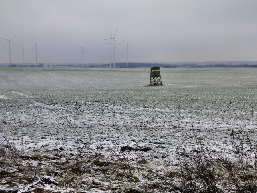 Wiatraki, niemiecki krajobraz - tuż przy granicy.