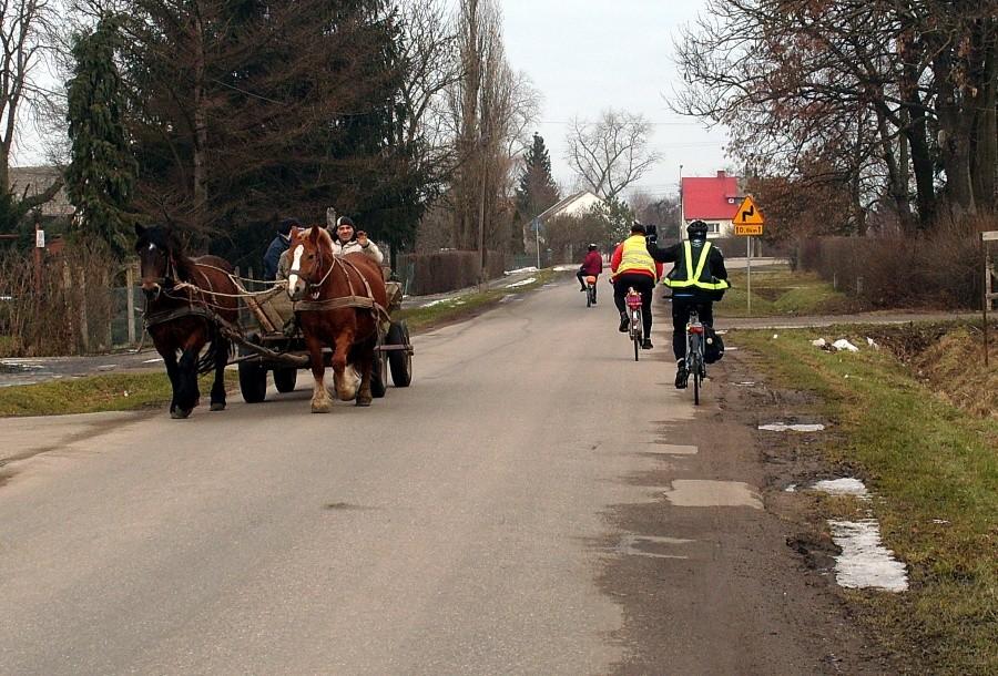 W miejscowości Steblewo mijamy się z wozem z końmi- to już bardzo rzadki obrazek na naszych terenach..