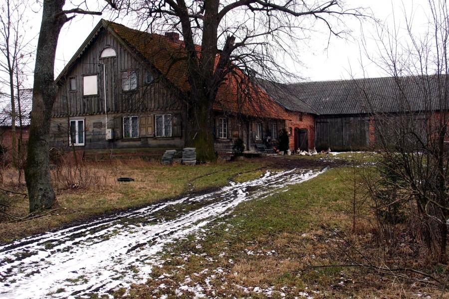 Żuławskie gospodarstwo