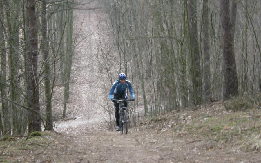 Rodman na sinusoidach