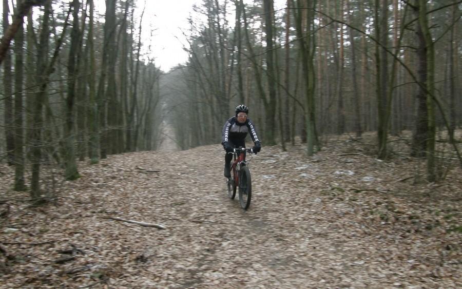 Marc w akcji