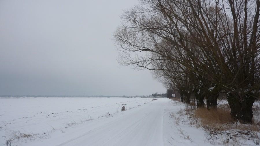 Białe drogi