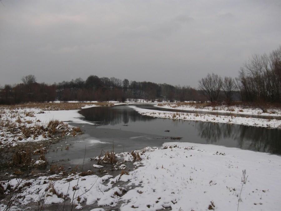Widok na Zalew.