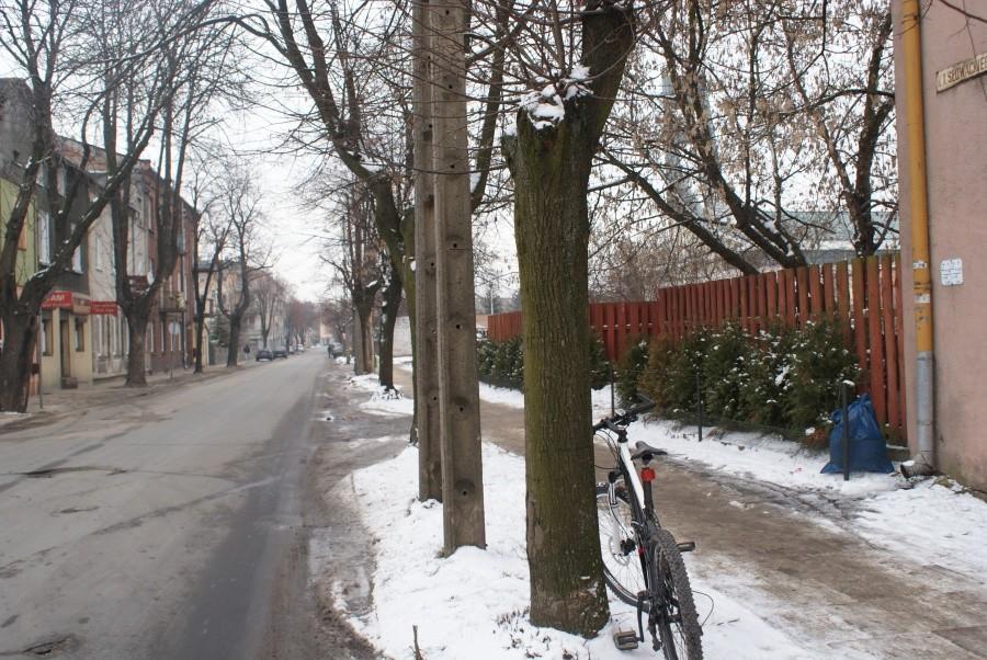 w zimowej scenerii ulicznej