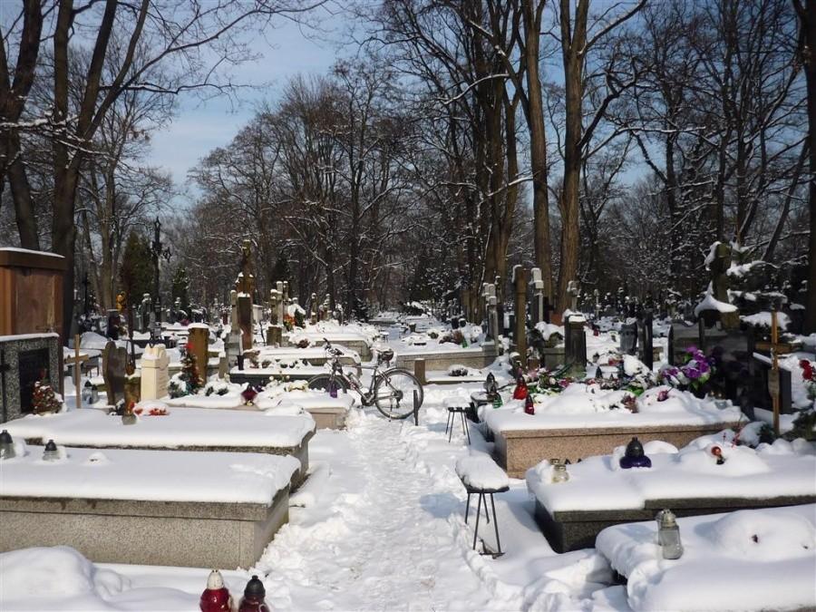Cmentarz Bródnowski pod śniegową kołderką