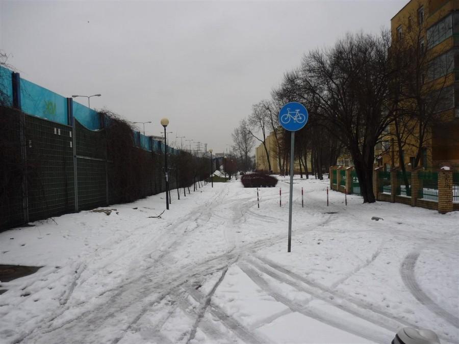 Ścieźka rowerowa przy Lasku na Kole