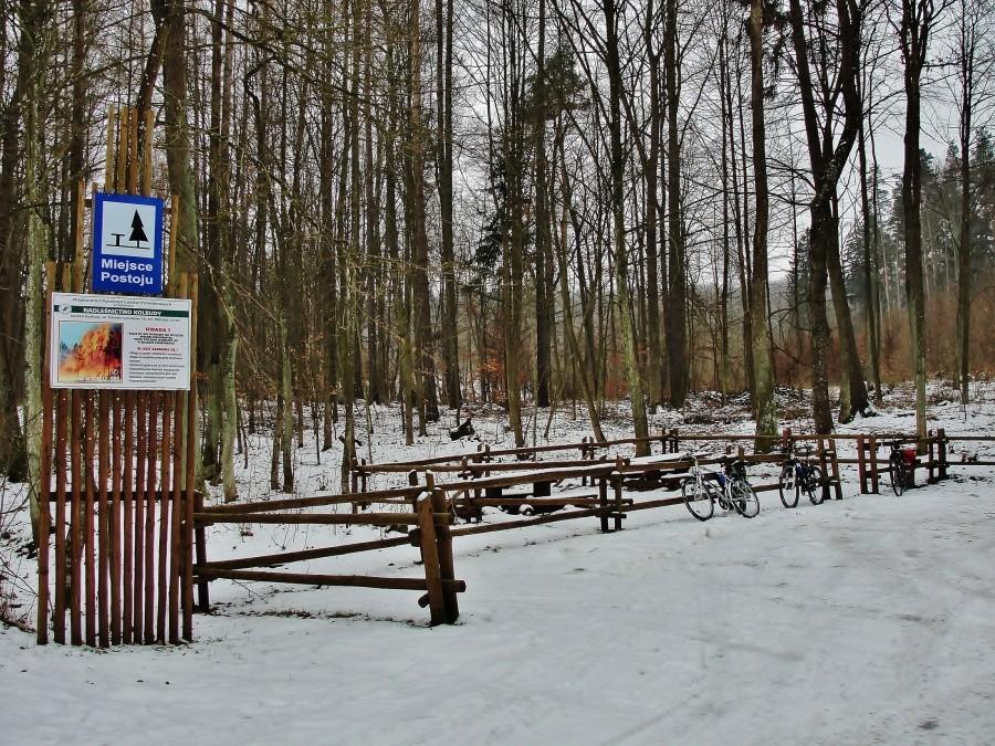 Postój w lesie. Nadleśnictwo Kolbudy.